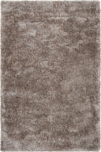 Surya Grizzly GRIZZLY-6 Light Gray Synthetic Shag Rug Product Image