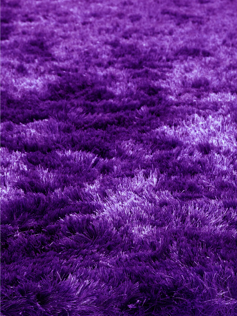 Quirk Purple Shag Rug Product Image